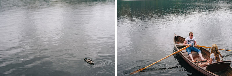ducks swimming in lake