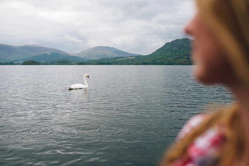 Girl looking at Swan from the boat